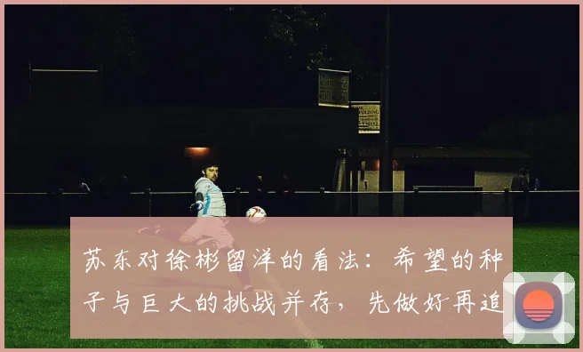 苏东对徐彬留洋的看法：希望的种子与巨大的挑战并存，先做好再追求完美