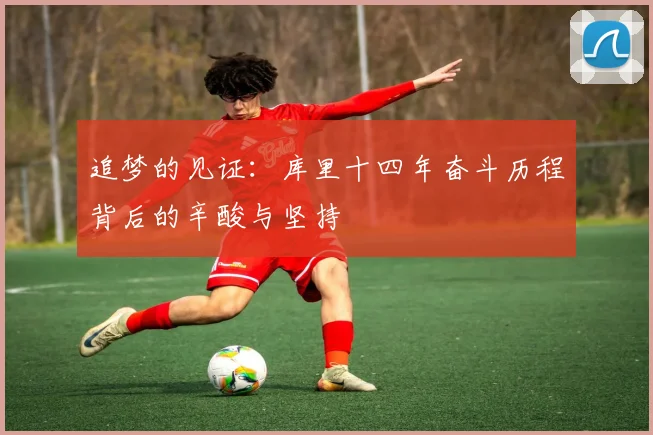 追梦的见证：库里十四年奋斗历程背后的辛酸与坚持