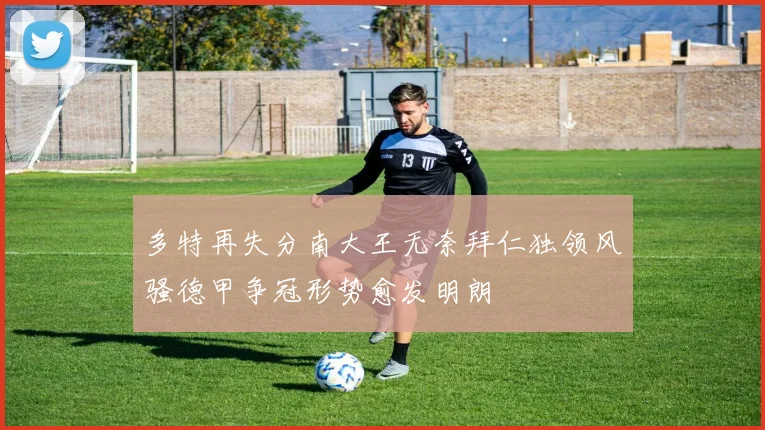 多特再失分南大王无奈拜仁独领风骚德甲争冠形势愈发明朗