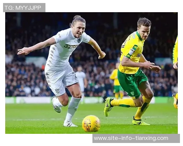 英超前瞻：桑德兰难敌利兹联水晶宫与热刺或将平局收场