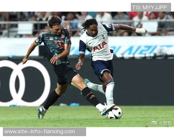 英媒透露本坦库尔将续约热刺同时球队有意买断帕利尼亚